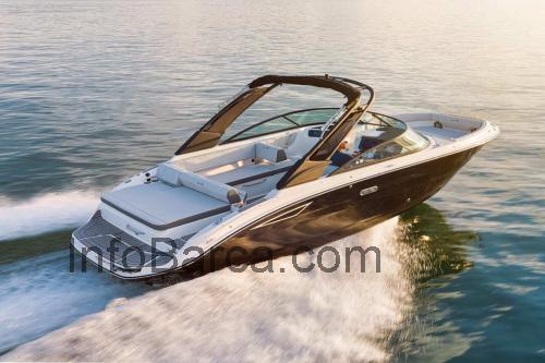 Sea Ray 250 SDX scheda tecnica e recensioni